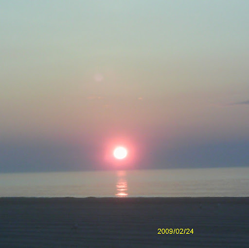 Kathy Randall Photo 19