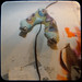Kevin Mcclung Photo 11