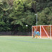 Boyd Wilson Photo 12