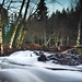 Randall Welch Photo 18