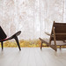 William Wegner Photo 15