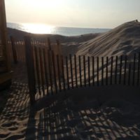 Diane Healy Photo 25