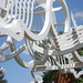 David Black Photo 33