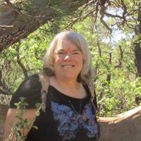Sherry Sheehan Photo 6