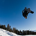 David Duffy Photo 41