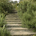 Mary Crowther Photo 5