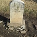 Kathleen Cavanaugh Photo 12