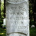 Joseph Root Photo 11