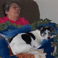 Phyllis Weber Photo 28