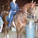 Libby Johnson Photo 20