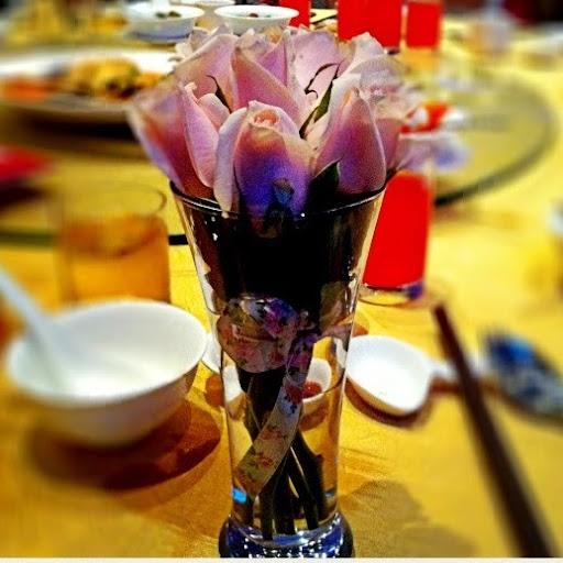 Nicole Lim Photo 36