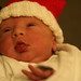 Julie Roman Photo 20