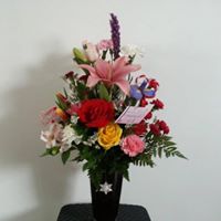 Lisa Lapointe Photo 6