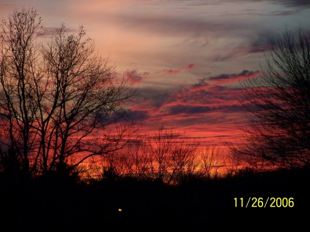 Amy Dyer Photo 1