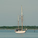 Beth Poole Photo 11