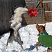 Steve Luce Photo 29