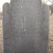 William Maynard Photo 22