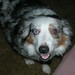 Brandy Smith Photo 39