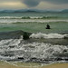 Wai Mak Photo 27
