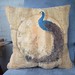 Michele Peacock Photo 21
