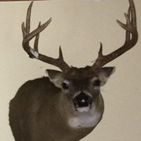 Dustin Templin Photo 6