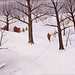 Martha Winters Photo 7