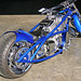 Arlen Stock Photo 12