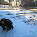 Ann Crouch Photo 30