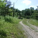 June Potts Photo 12