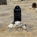 Jeanette Godwin Photo 3