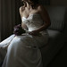 Charlotte Johns Photo 16