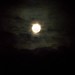 Gary Moon Photo 30