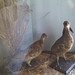Martha Heath Photo 3