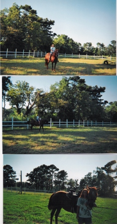 Susan Golden Photo 4