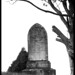 Rose Rossetti Photo 6