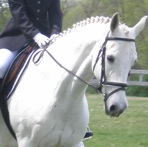 Janet Gray Photo 5