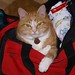 Stanley Carter Photo 35