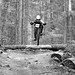 Colleen Speed Photo 1