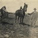 Henry Rowe Photo 17