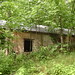 John Scheer Photo 22