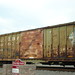 Ashley Lines Photo 6
