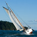 Tom Peebles Photo 27