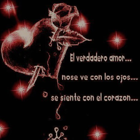 Isabelle Lopez Photo 13