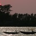 Dawn Link Photo 17