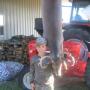 Clay Ingram Photo 25