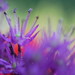 Connie Green Photo 40