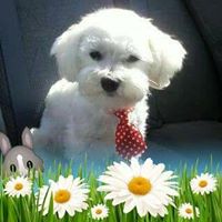 Renee Beaulieu Photo 7