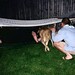Cindy Henry Photo 16