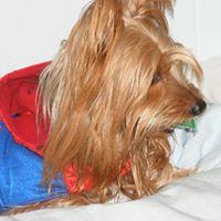 Betty Atchison Photo 5