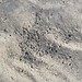 Karin Watt Photo 10
